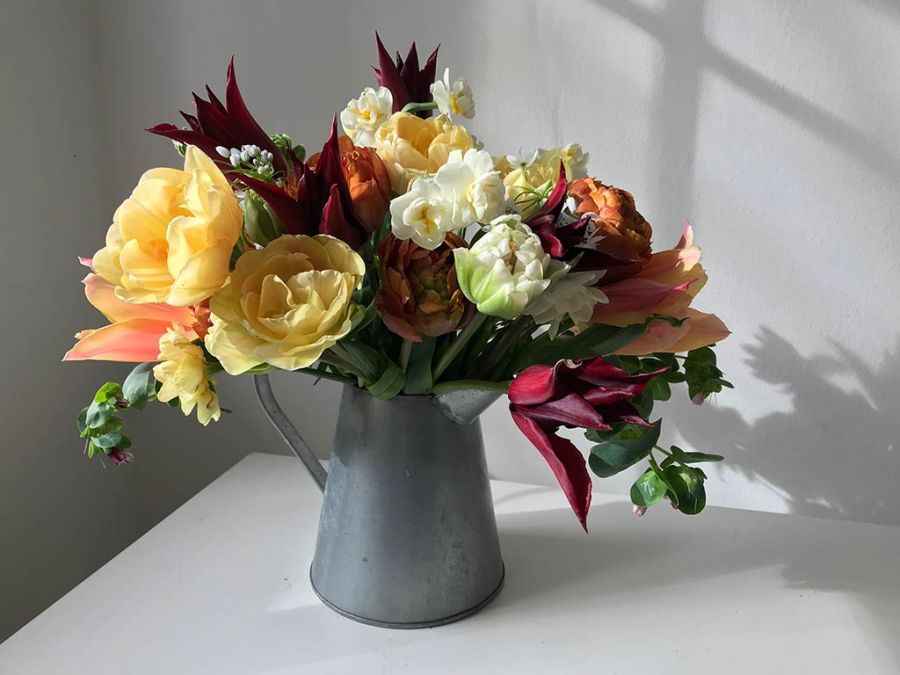 Spring bouquet of tulips, narcissus, aliums and cerinthea. 